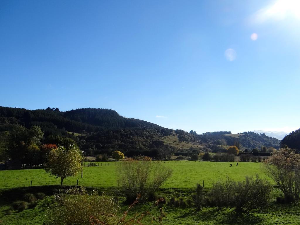 Arden Country House Waitati 外观 照片
