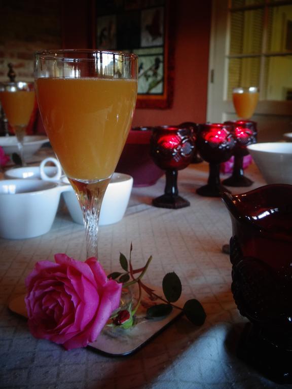 Arden Country House Waitati 外观 照片