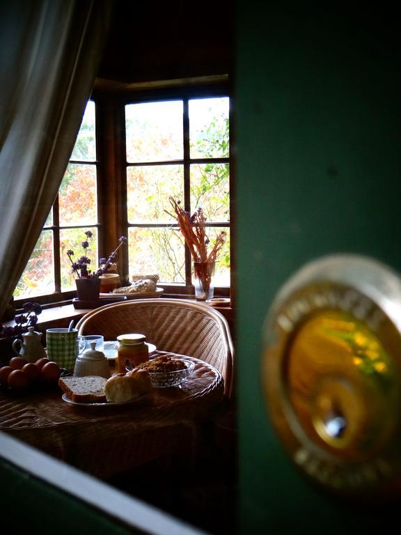 Arden Country House Waitati 外观 照片