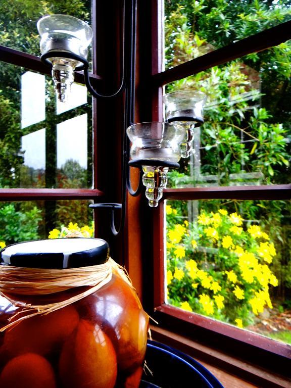 Arden Country House Waitati 外观 照片