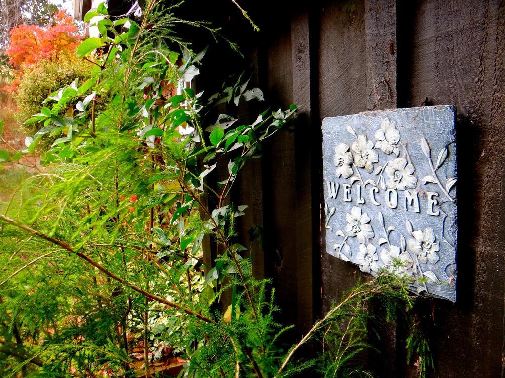 Arden Country House Waitati 外观 照片