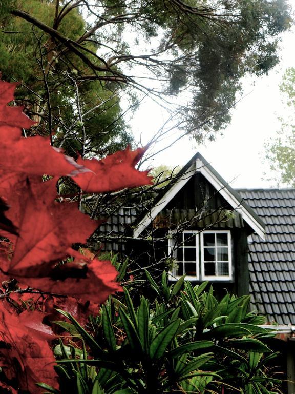 Arden Country House Waitati 外观 照片