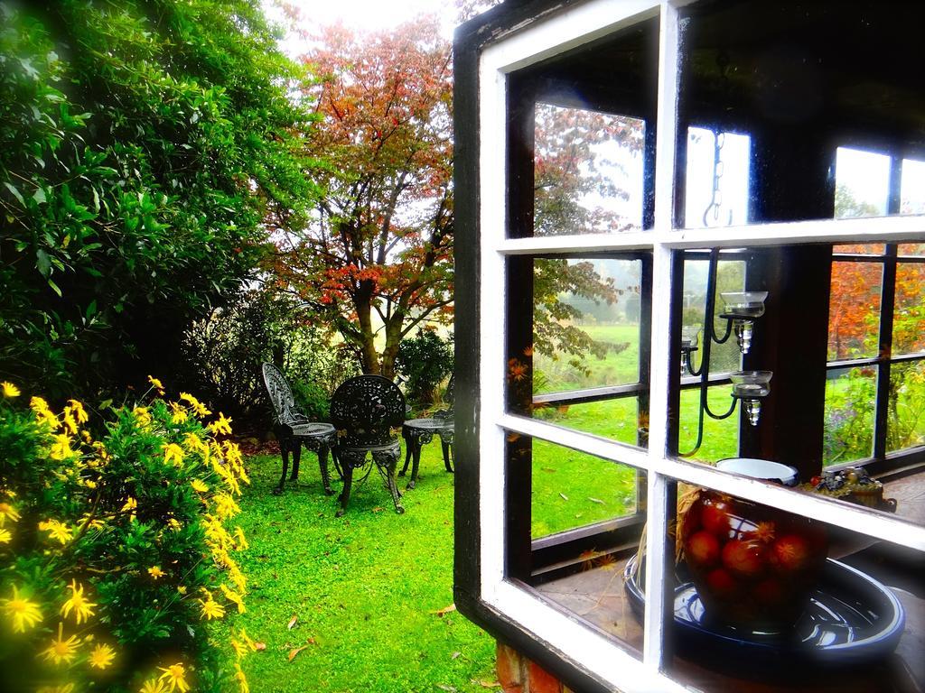 Arden Country House Waitati 外观 照片