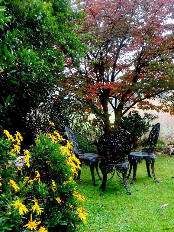 Arden Country House Waitati 外观 照片
