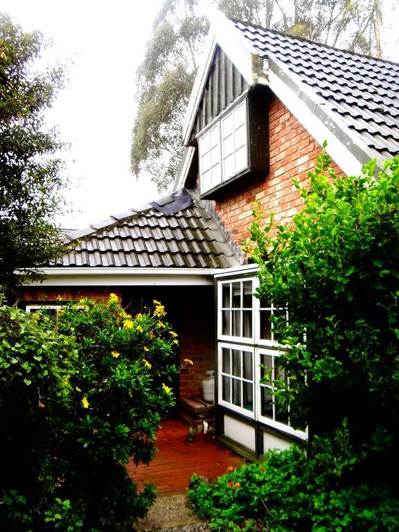 Arden Country House Waitati 外观 照片