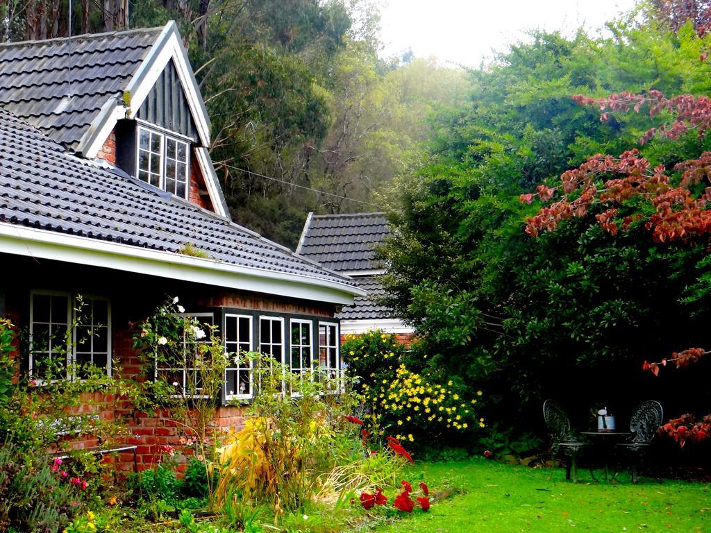 Arden Country House Waitati 外观 照片