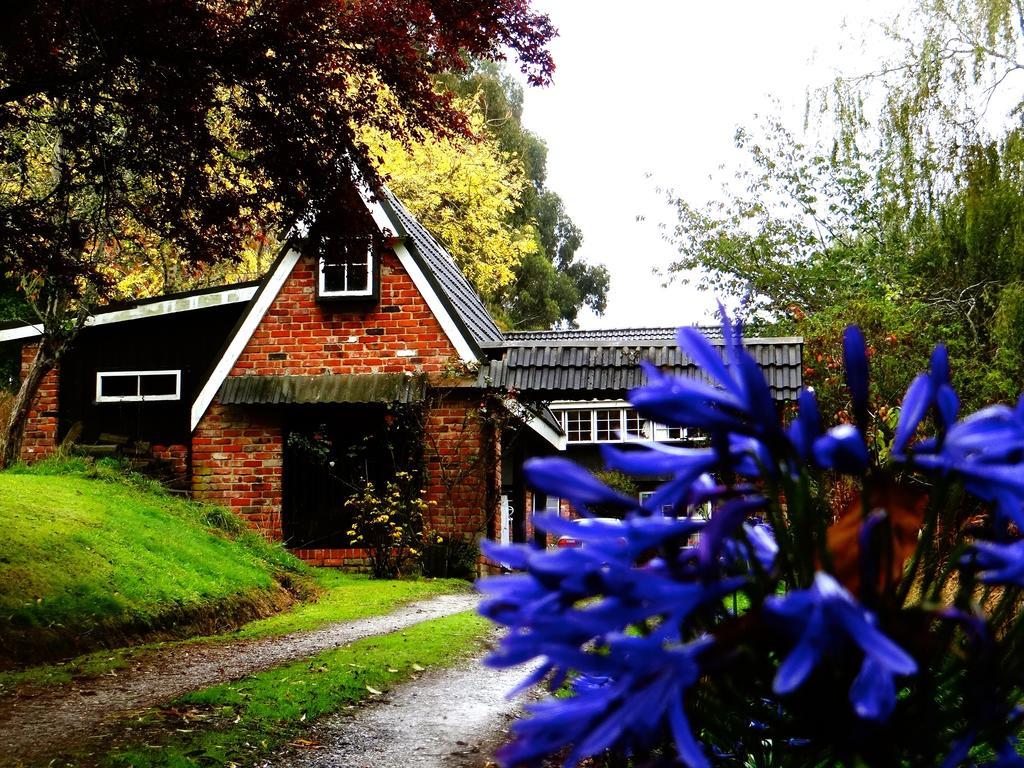 Arden Country House Waitati 外观 照片